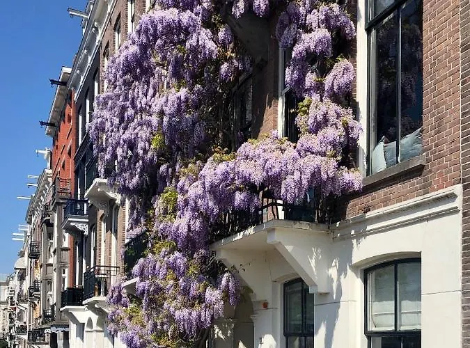 Spinoza Couette-café Amsterdam